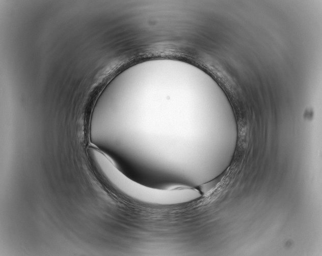 X0000098210158200805221635