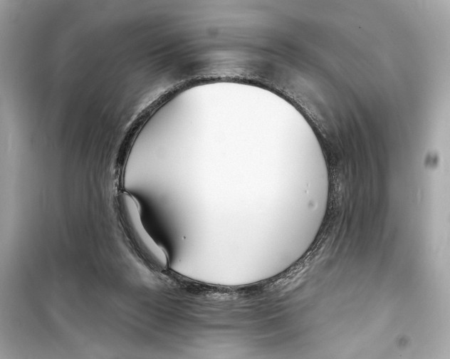 X0000098210160200805221635