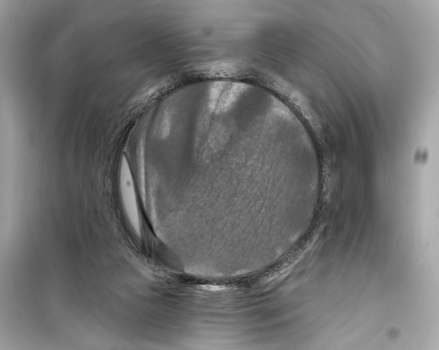 X0000098210161200805221635