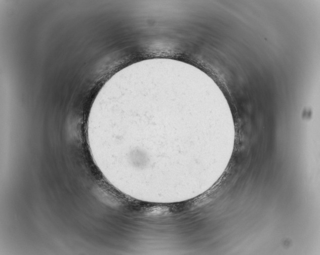 X0000098210162200805221635