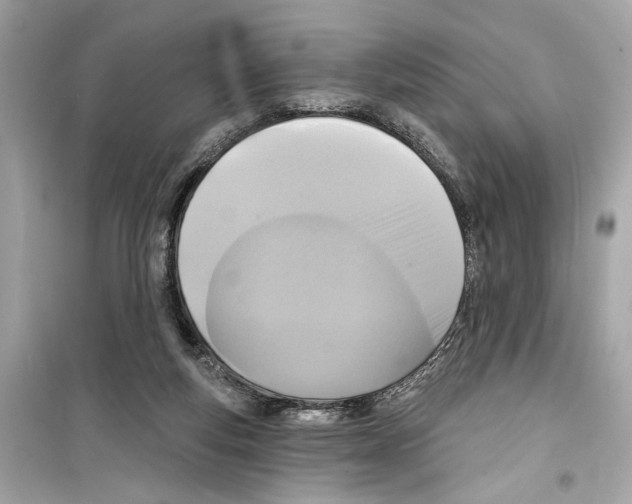 X0000098210163200805221635