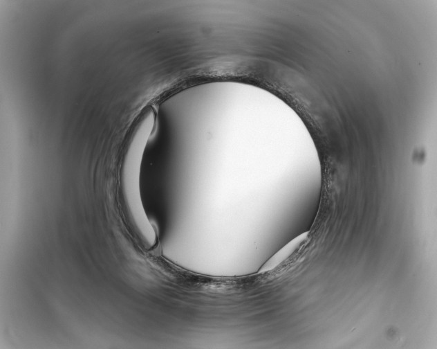 X0000098210164200805221635