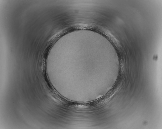 X0000098210165200805221635
