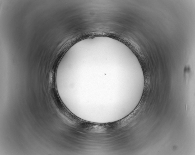X0000098210166200805221635