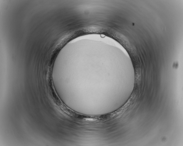 X0000098210167200805221635