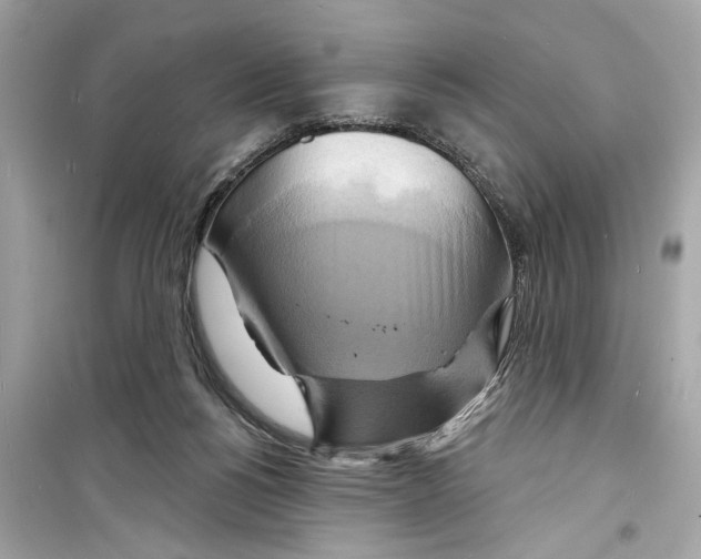 X0000098210168200805221635
