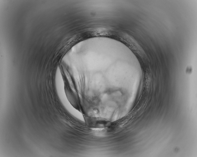 X0000098210169200805221635