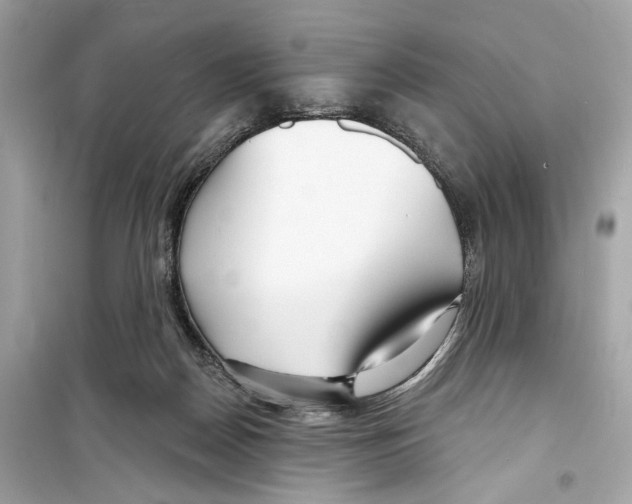 X0000098210170200805221635