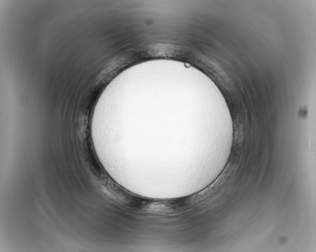 X0000098210171200805221635