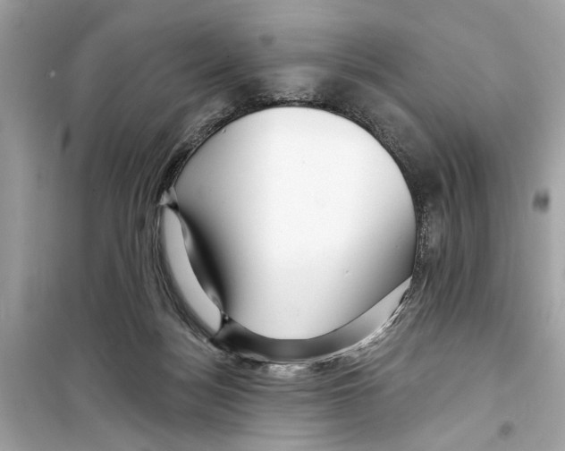 X0000098210172200805221635