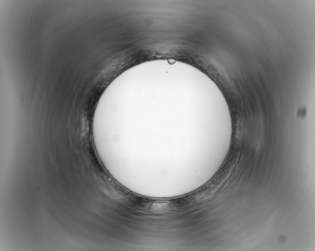 X0000098210173200805221635