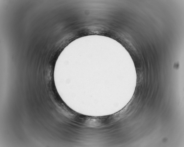 X0000098210174200805221635