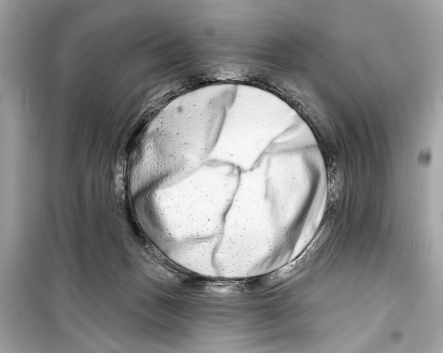 X0000098210175200805221635