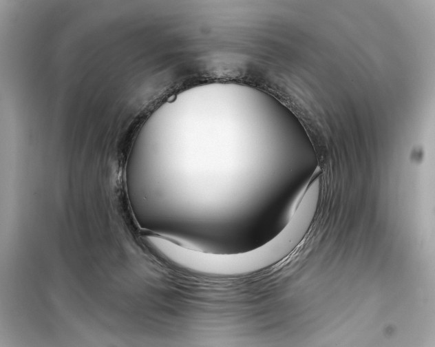 X0000098210176200805221635