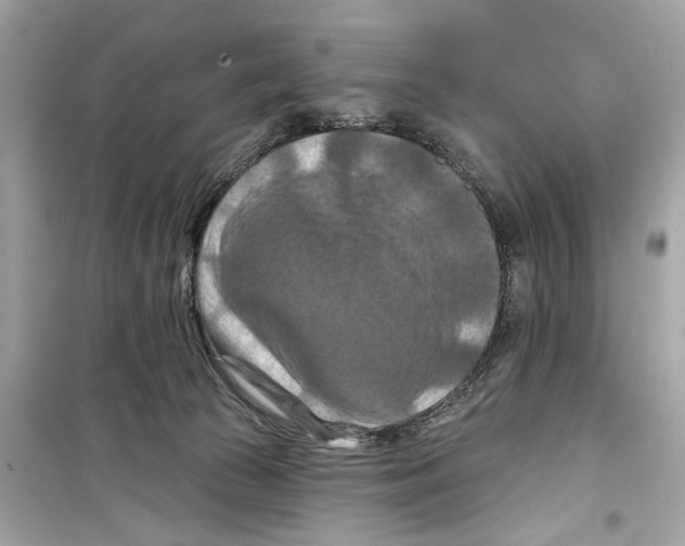 X0000098210177200805221635