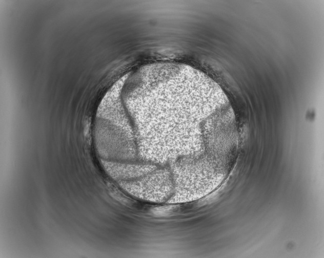 X0000098210178200805221635