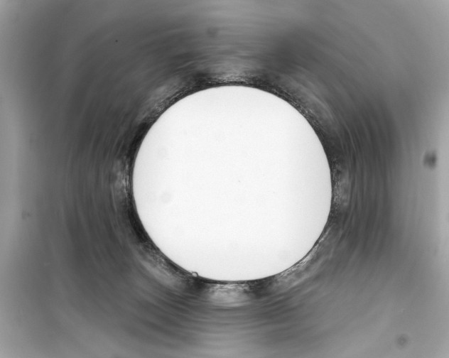 X0000098210179200805221635