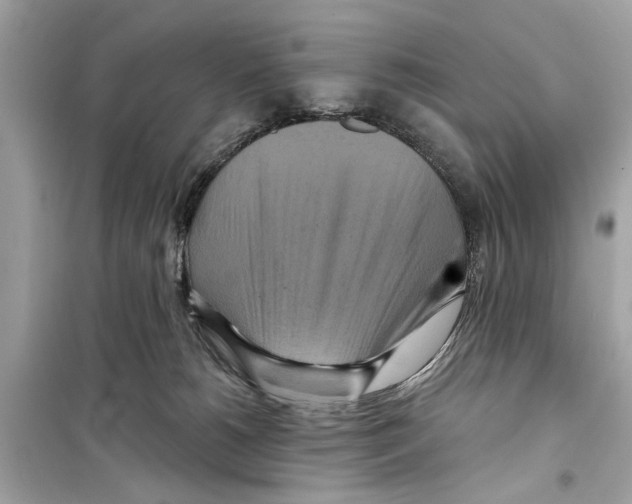 X0000098210180200805221635