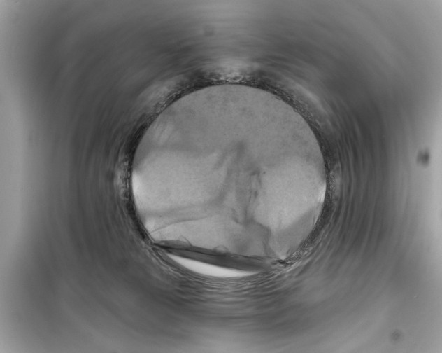X0000098210181200805221635
