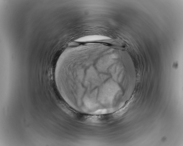 X0000098210182200805221635