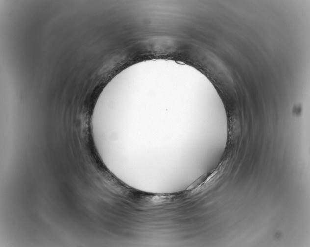 X0000098210184200805221635