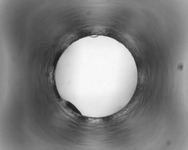 X0000098210185200805221635