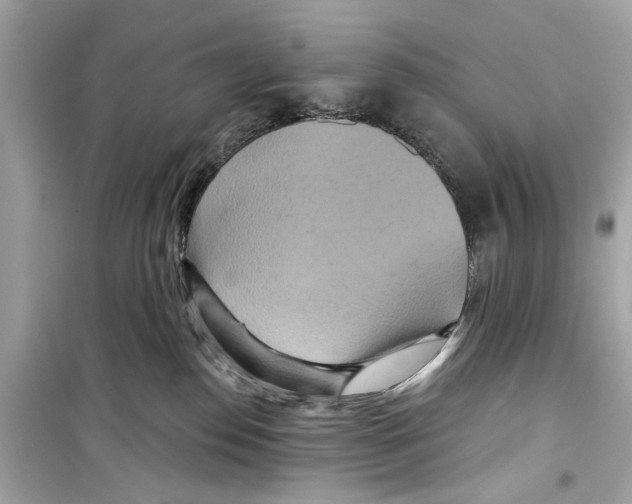X0000098210186200805221635