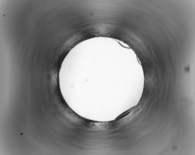 X0000098210188200805221635