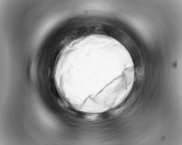 X0000098210189200805221635