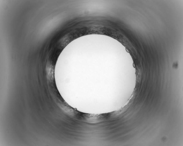 X0000098210191200805221635