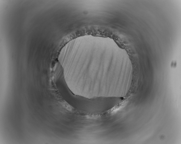 X0000098210192200805221635