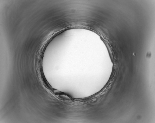 X0000098210193200805221635