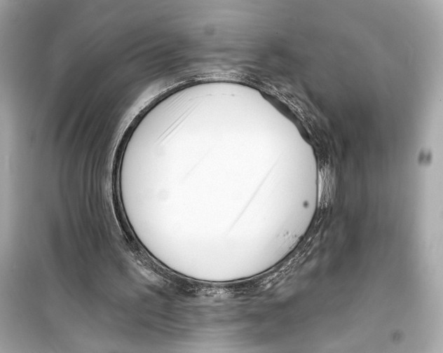 X0000098210195200805221634