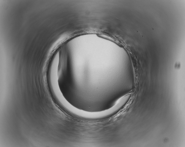 X0000098210197200805221634