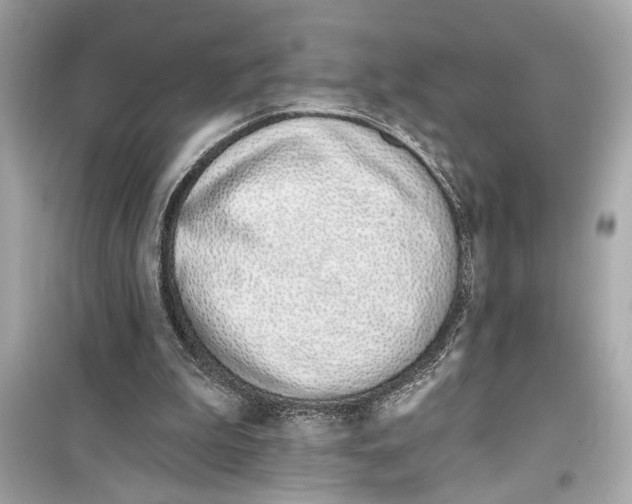 X0000098210199200805221634