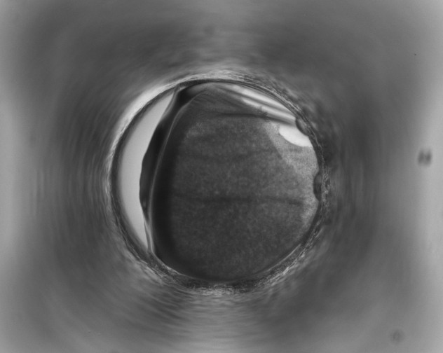 X0000098210200200805221634