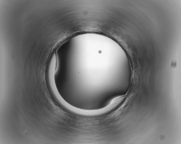 X0000098210201200805221634