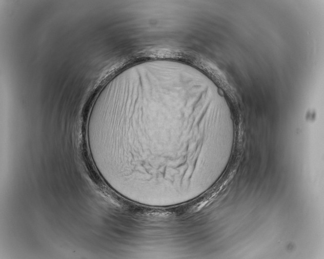 X0000098210202200805221634