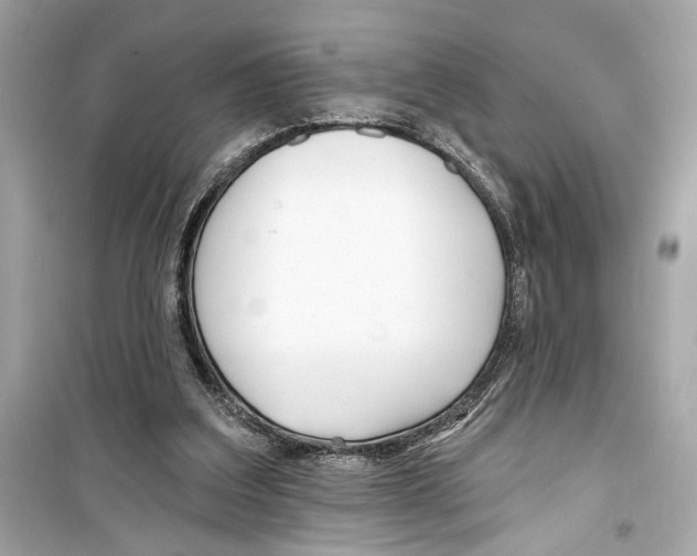 X0000098210203200805221634