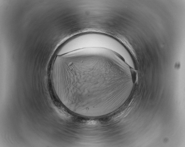 X0000098210204200805221634