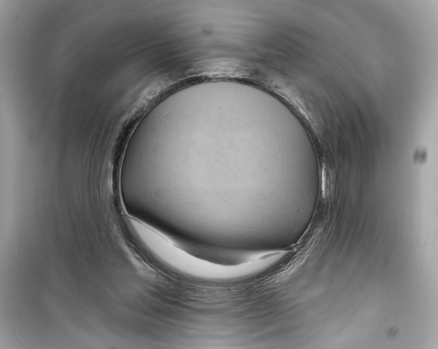 X0000098210205200805221634