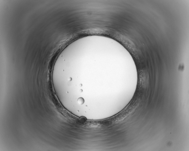 X0000098210206200805221634