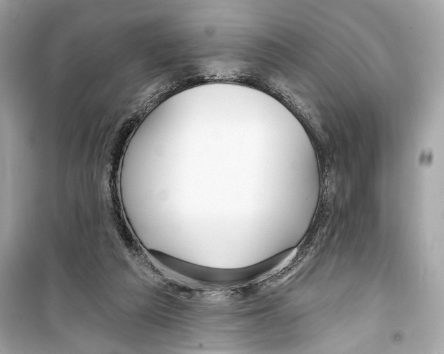 X0000098210209200805221634