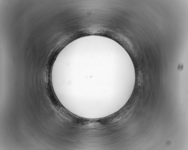 X0000098210210200805221634