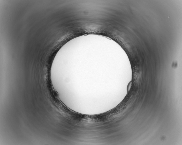 X0000098210211200805221634