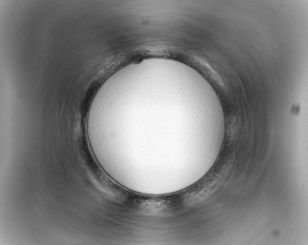 X0000098210213200805221634