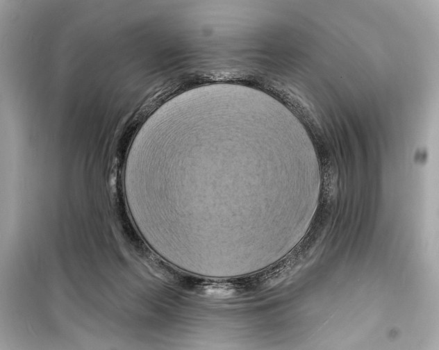 X0000098210214200805221634