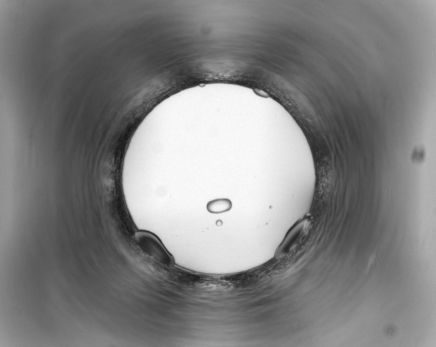 X0000098210215200805221634