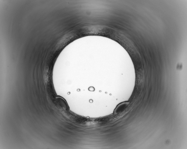 X0000098210216200805221634