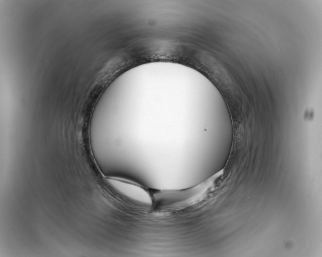 X0000098210217200805221634